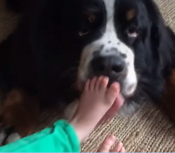 Màn mát xa chân đỉnh nhất là đây.