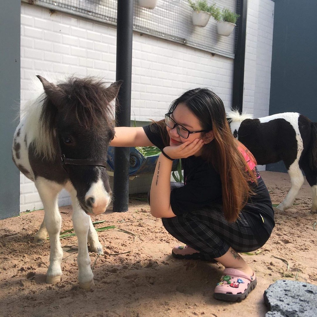 Ảnh: Peter.hhwang, myrin.kita, pennynedm, thquyn_0810.