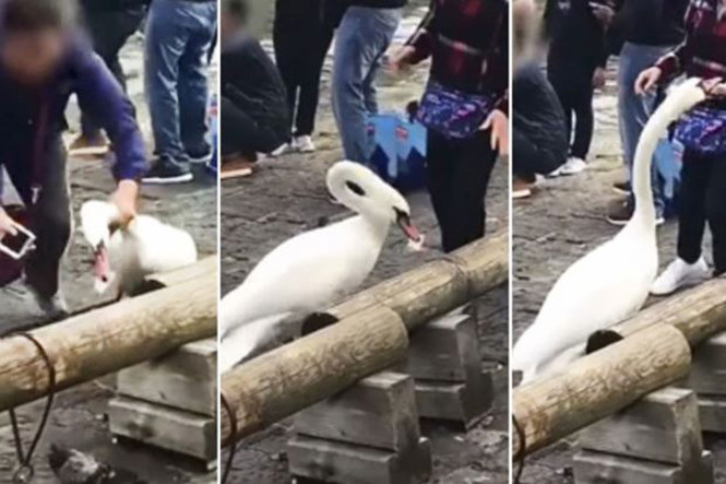 Sự việc được cho xảy ra gần Quảng trường Thiên Nga Schwanenplatz. Ảnh: Chụp từ clip.