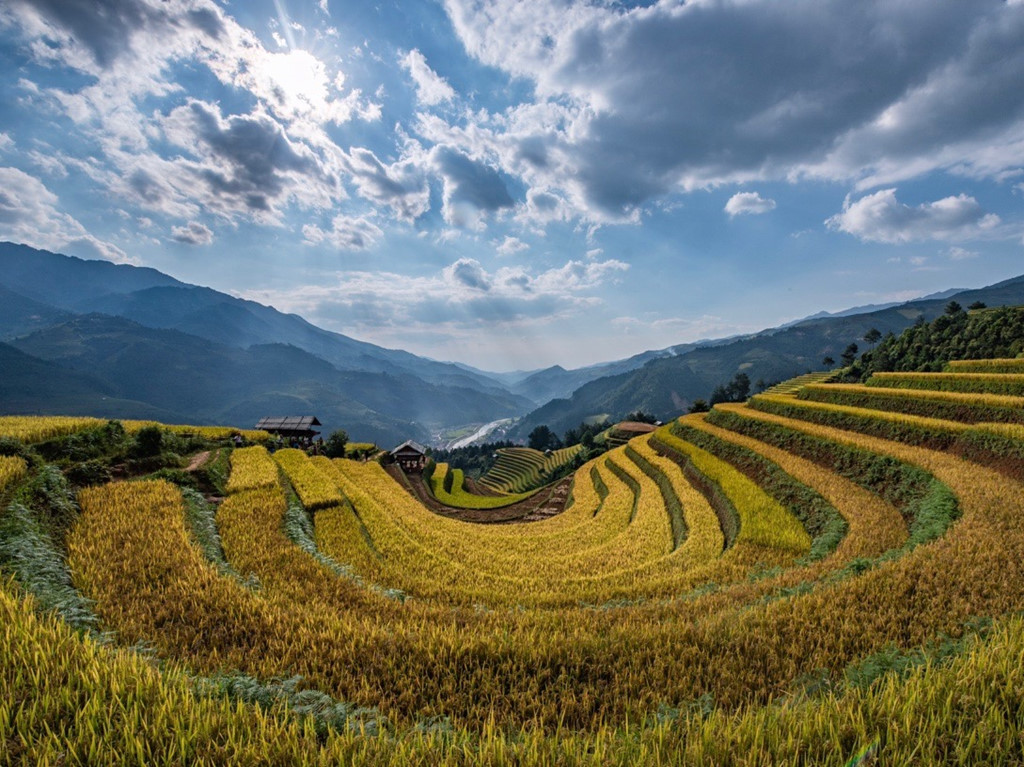 Ảnh: Lê Nguyễn Hải Nam.