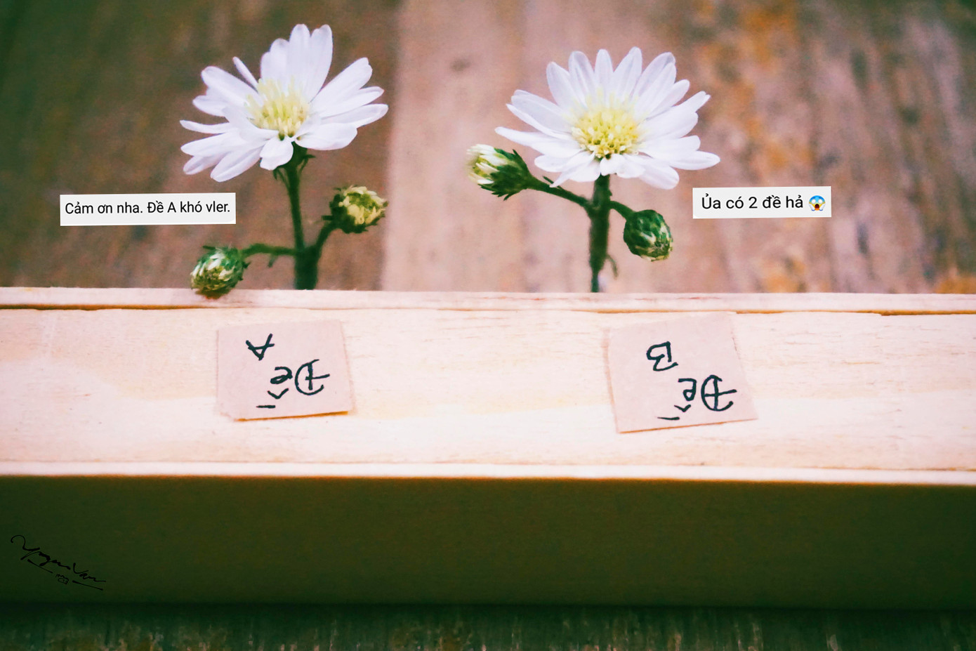 Chép bài từ bạn cùng bàn xong xuôi rồi mới phát hiện ra... khác đề! Ôi xong đời!