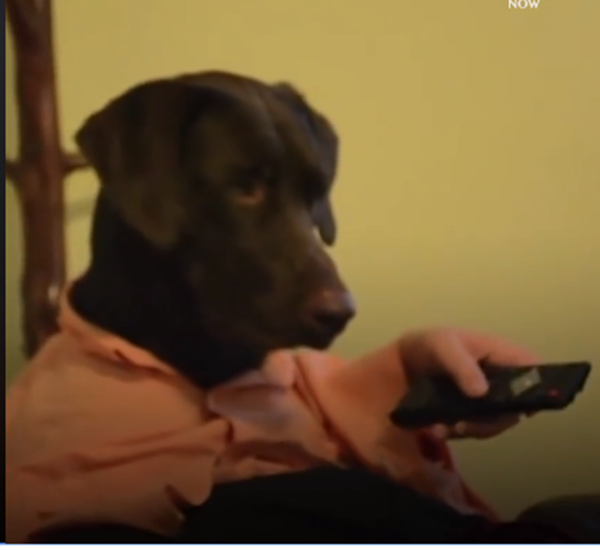 ...sau giờ làm về nhà nghỉ ngơi, xem ti vi. Tôi là thanh niên nghiêm túc số 1 đấy.