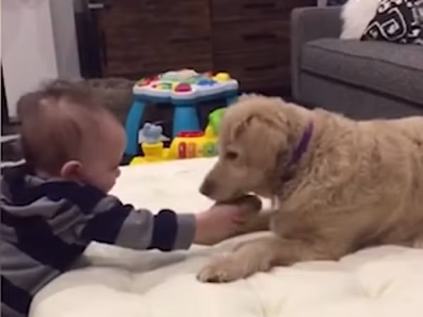 Đáng yêu chưa? Bạn ý biết tôi thích bóng nè.