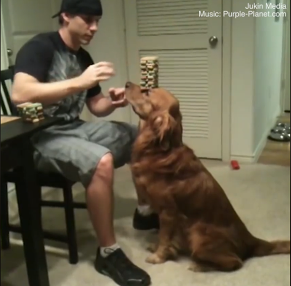 Còn đây là màn xếp tháp Jenga thần thánh nhưng là bánh chứ không phải gỗ đâu.