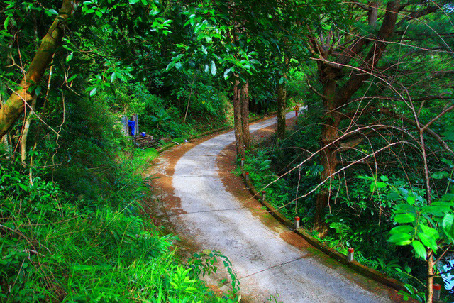 Những đường mòn quanh co