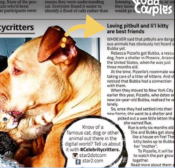 Nổi tiếng đến nỗi lên cả báo nè.