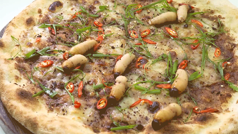 Pizza thì chín rồi nhưng vẫn chú đuông dừa kia vẫn bò lung tung trên miếng bánh!