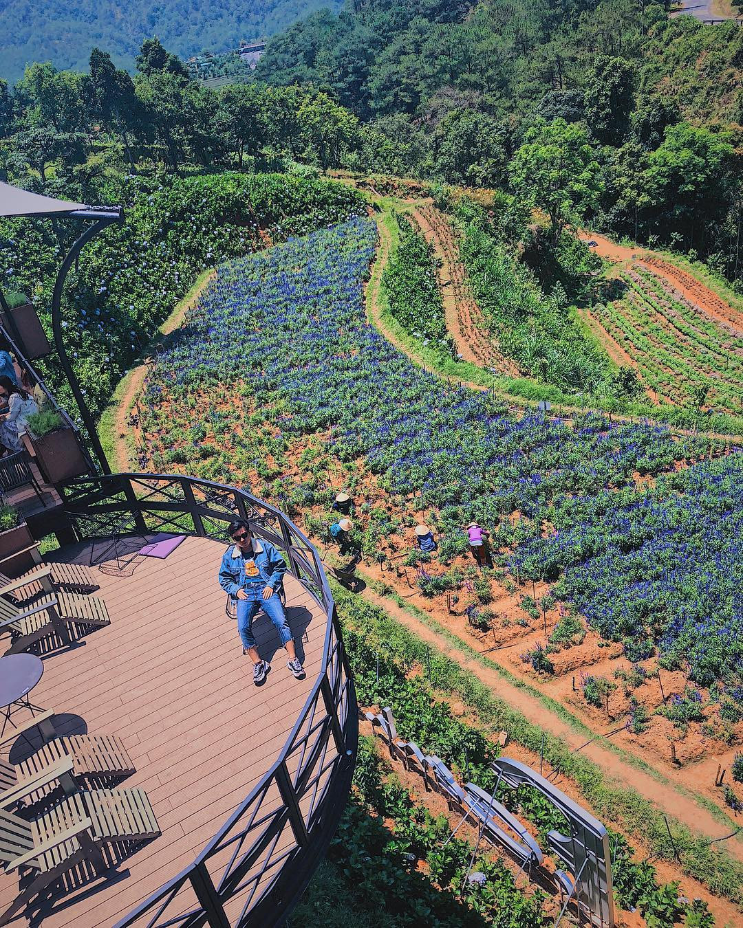 Không chỉ có hoa, F Cánh Đồng Hoa còn sở hữu kiến trúc đặc biệt với view nhìn từ trên cao, không gian thoáng mát. (Ảnh: IG @builam65)