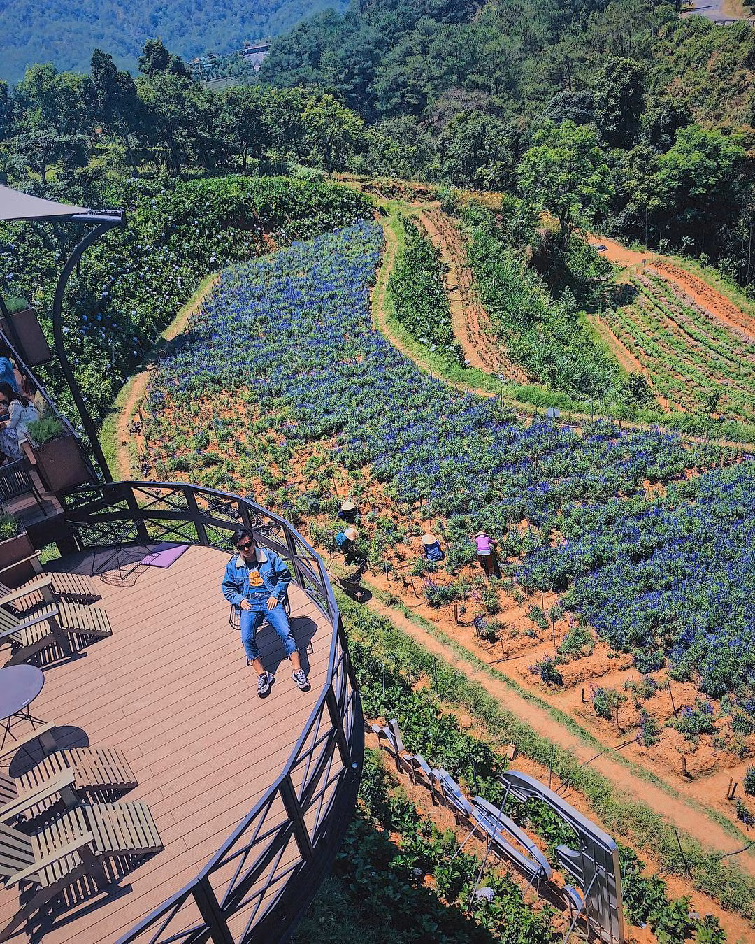 Không chỉ có hoa, F Cánh Đồng Hoa còn sở hữu kiến trúc đặc biệt với view nhìn từ trên cao, không gian thoáng mát. (Ảnh: IG @builam65)