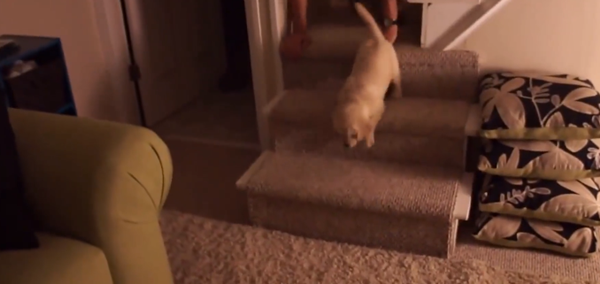 Ba ơi thành công rồi!