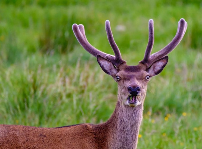 "Thái độ gì đây?"