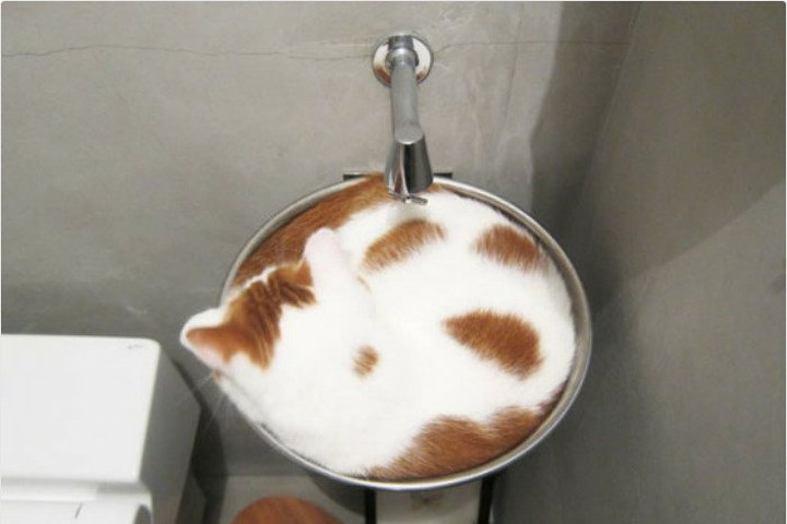 Ly cà phê capuchino đầy hấp dẫn.