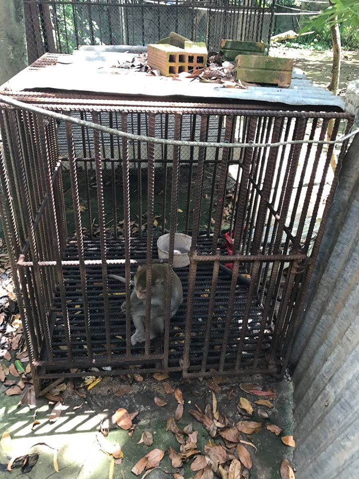 Đây là nơi sẽ cho bạn một cảm giác gần gũi với thiên nhiên?!