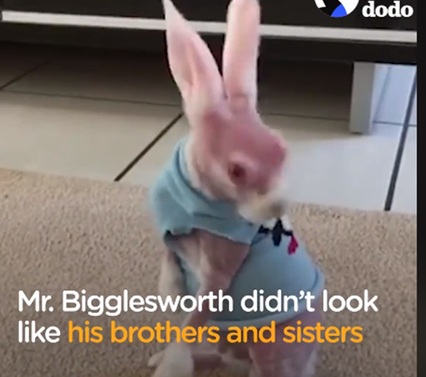 đã không giống anh chị em.