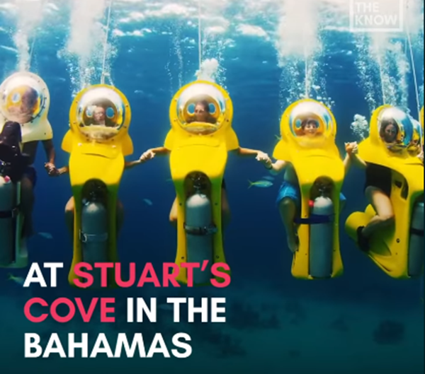 Khi chắc chắn bạn đã thao tác thuần thục, bạn sẽ được tự do vui chơi cùng bạn bè.