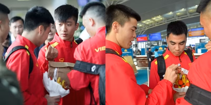 Có mỗi bó bông để ăn mà hết người này tới người khác lấy...