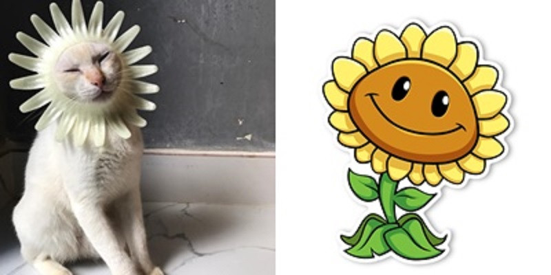 Style gợi nhớ bông hoa nhỏ trong game Plant vs zombie.