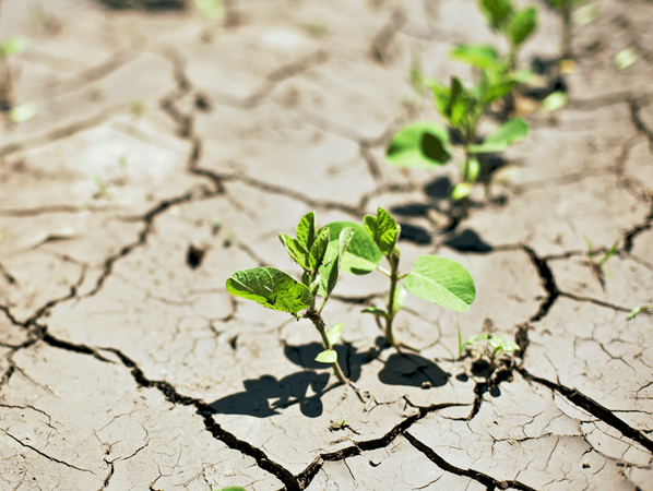 Điều chỉnh và thích nghi với những thay đổi sẽ giúp chúng ta sống hạnh phúc.