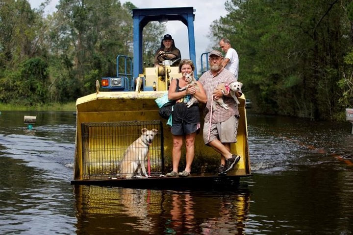 Gia đình ông Shackleford bồng bế lũ chó nhà trên máy kéo, đi ra khỏi vùng ngập lụt.