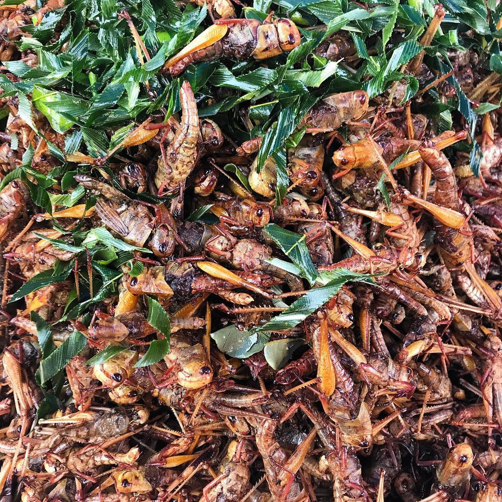 Ảnh: Mila.kayryakova.