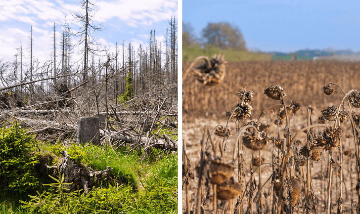 © depositphotos.com