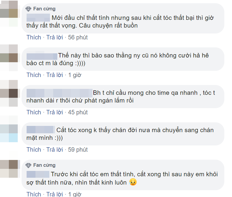 Một vài bình luận của cư dân mạng.