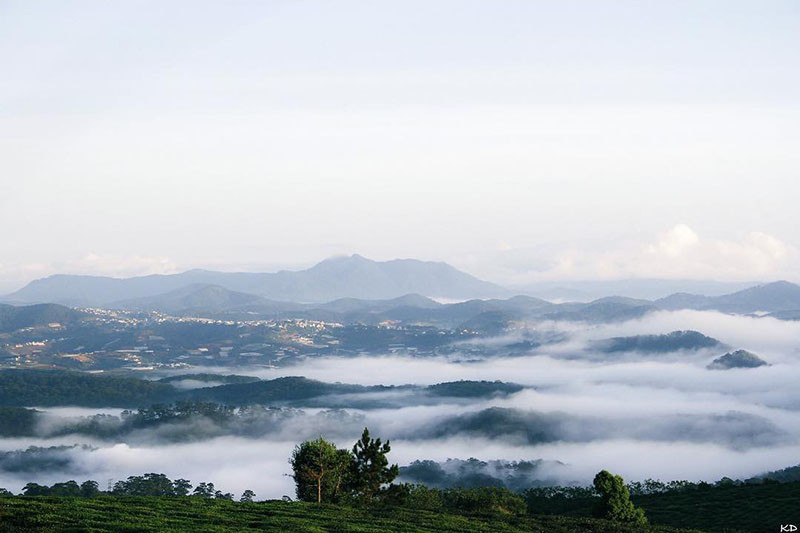 Một góc Cầu Đất Farm nhìn từ trên cao. (Ảnh: @rose_nse)