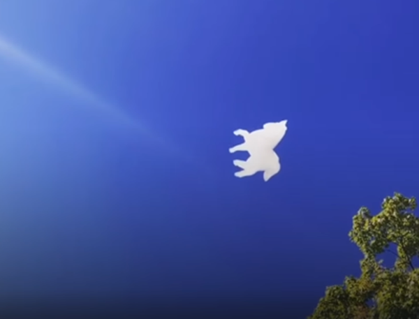 Con ngựa đang bay? Phải rồi, con ngựa đấy.