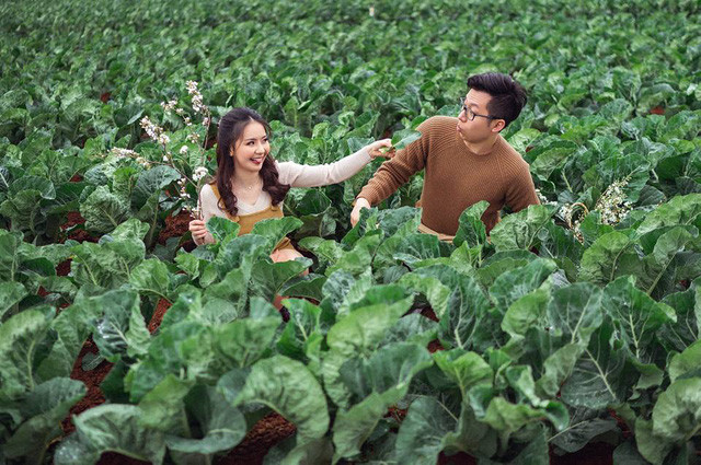 Cuộc sống du học sinh giúp họ xích lại gần nhau hơn.