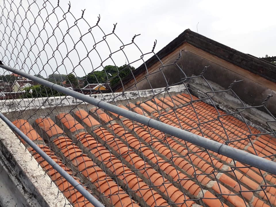 Người dân quây hàng rào để tránh tình trạng các cặp đôi leo lên chụp ảnh.