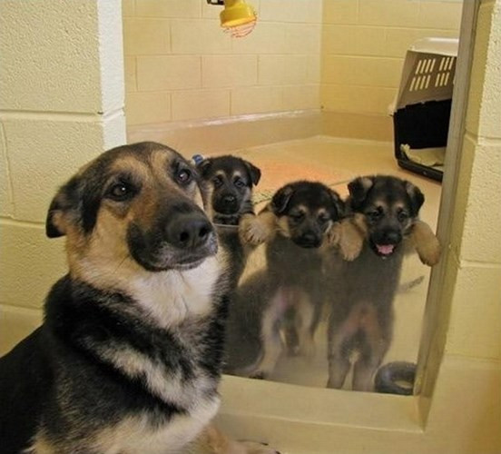 Không ra ngoài đâu nhé, nguy hiểm lắm!