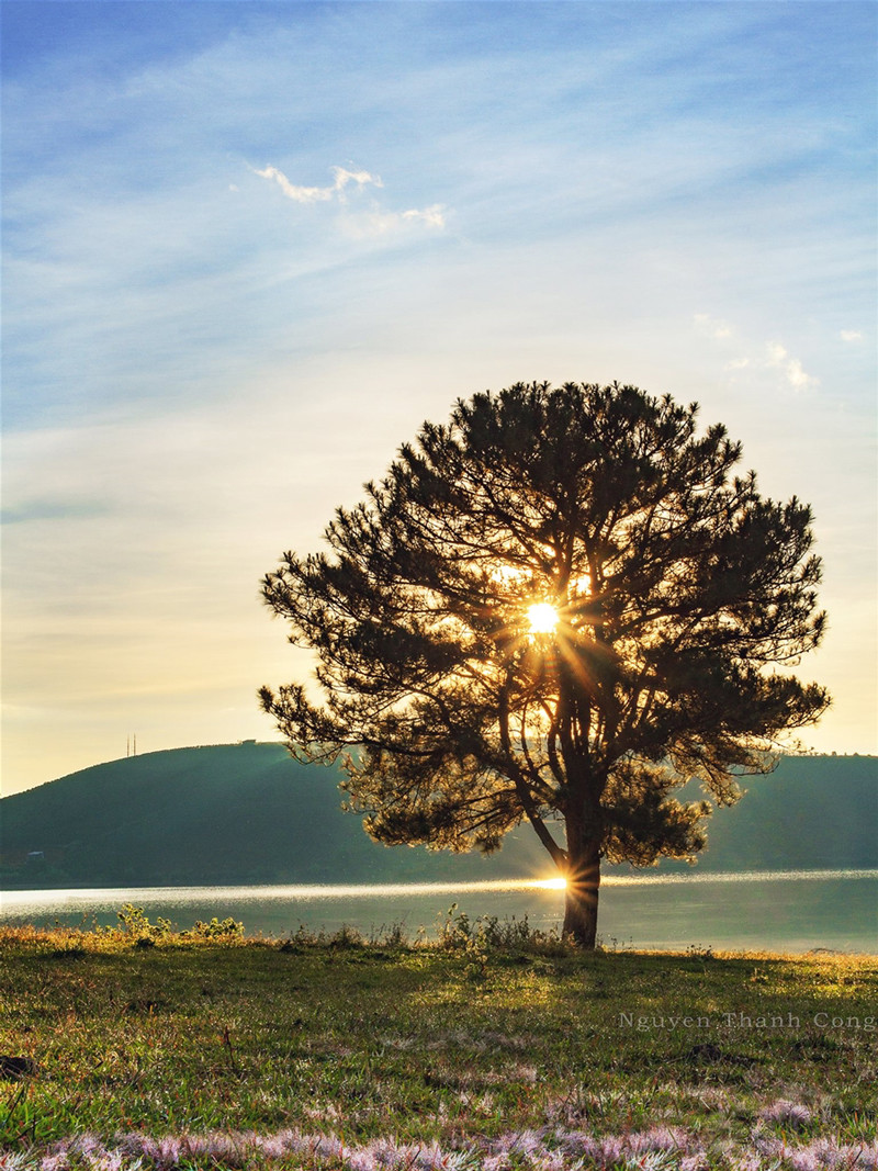 Ảnh: Nguyen Thanh Cong.