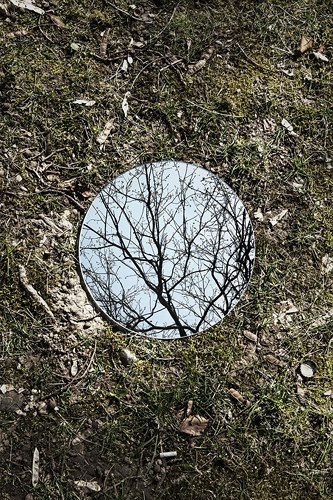 Vẻ đẹp tinh tế của tự nhiên qua một tấm gương tròn./.