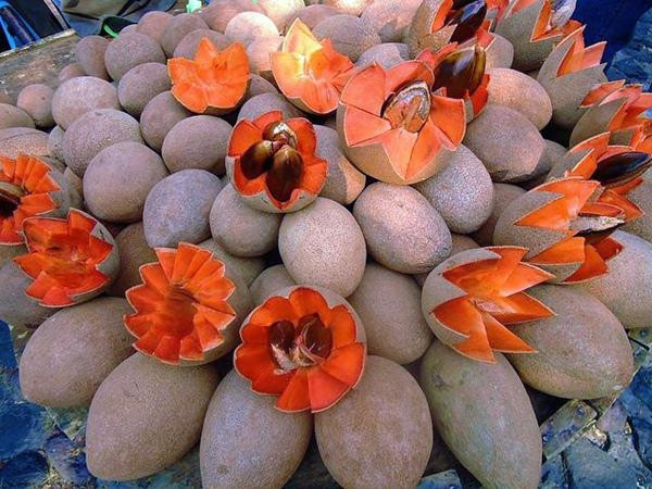 Quả bình thường cũng trung bình 400g.