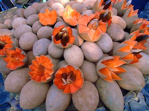 Quả bình thường cũng trung bình 400g.