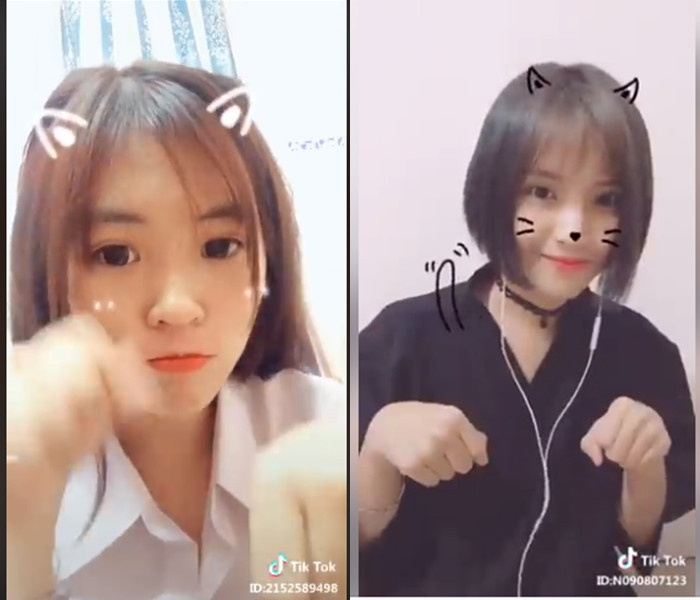 Dù Meow Meow Meow là bài hát bằng tiếng Trung nhưng nhịp điệu vui nhộn vẫn gây