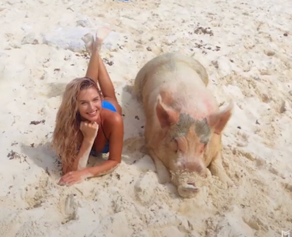 Vô vàn chàng trai ghen tị khi không phải là người được nằm cảnh để phơi nắng cùng người đẹp.