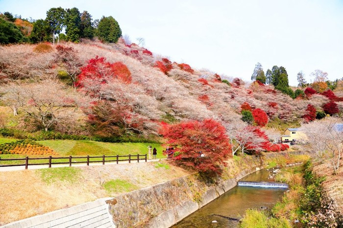 (Ảnh: Club4traveler)