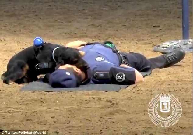 Ghé sát nghe nhịp thở.