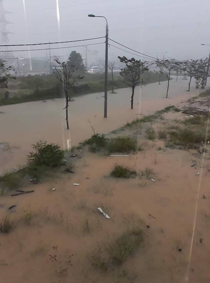 (Ảnh: Danang Viewers)