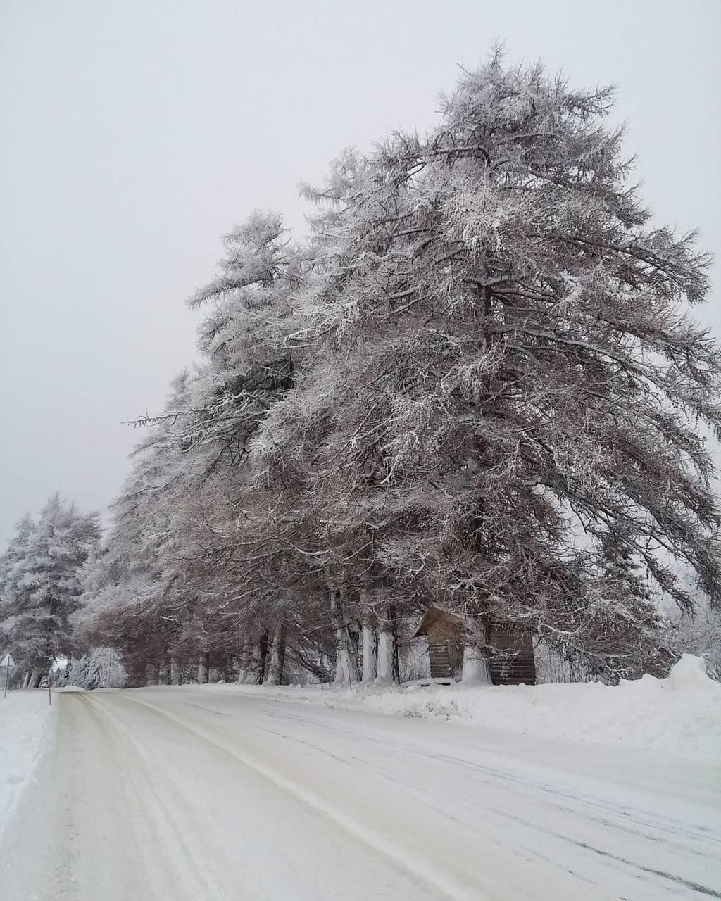 Ảnh: Autionmarjatila.