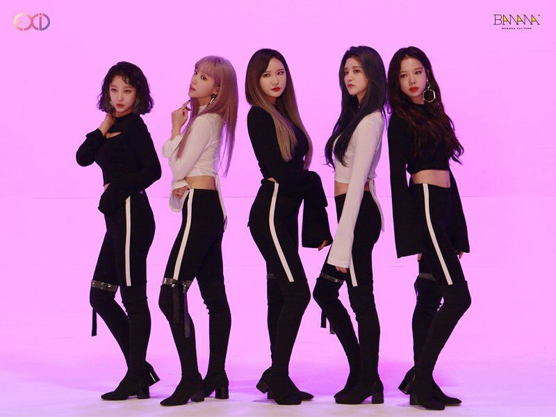 Mới đây EXID đã xác nhận sẽ có mặt tại Gayo Daejejeon 2017 cùng với dàn idol 