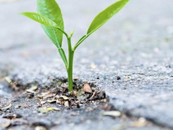 Khi bạn tin tưởng và nỗ lực đủ nhiều, thì hầu như điều gì cũng là khả thi.