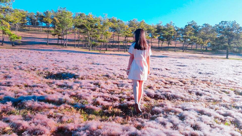 Khung cảnh ảo diệu.