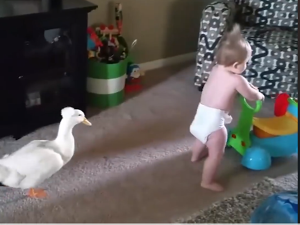 Cùng nhau từ những bước tập đi đầu đời...