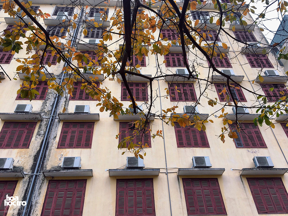 Có rất nhiều vị trí để ngắm nhìn hàng cây lá đỏ tại đây, bạn có thể đi dọc con đường, đứng từ trên các phòng học nhìn xuống hoặc có thể ngồi dưới các tàng cây. (Ảnh: Hải Yến)