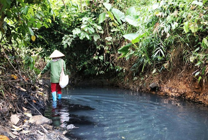 Dòng suối cạnh Nhà máy nước sông Đà nhiễm dầu đen kịt . Ảnh: PV.