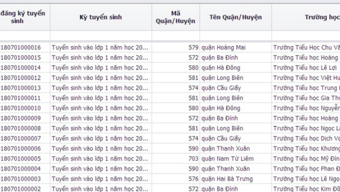 Hệ thống tuyển sinh trực tuyến vào lớp 1 năm học 2018 - 2019 ở Hà Nội chính thức hoạt động từ ngày 1.7. ẢNH T.N.