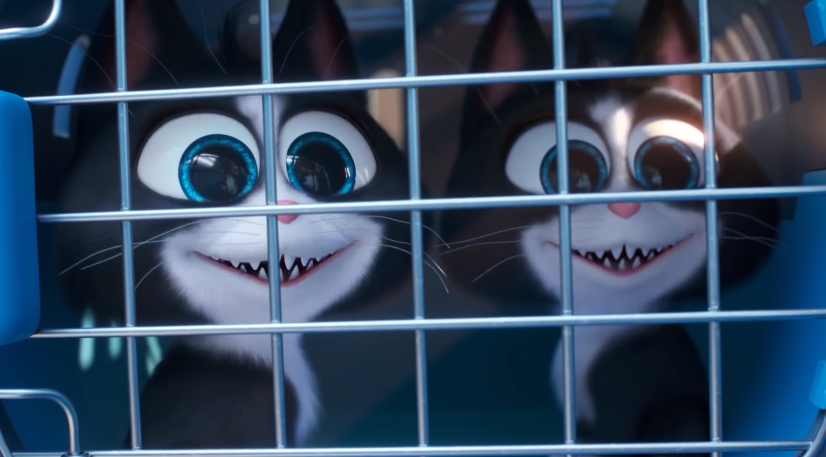 Cặp mèo sinh đôi dị hợm