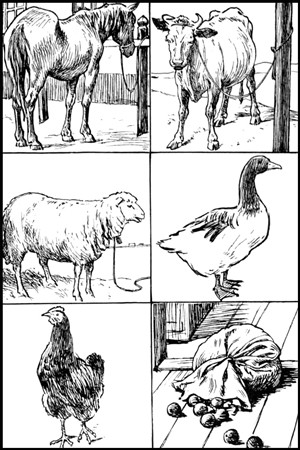 Hình minh họa cho những lần đổi chác của 